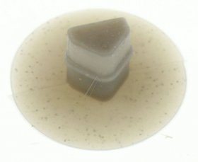 Square Plug - 2230250124 Stopple Bush 272 6x6mm [Electrolux Aeg]